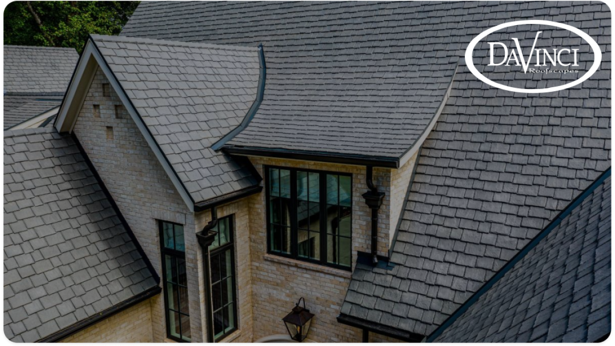 DaVinci roof