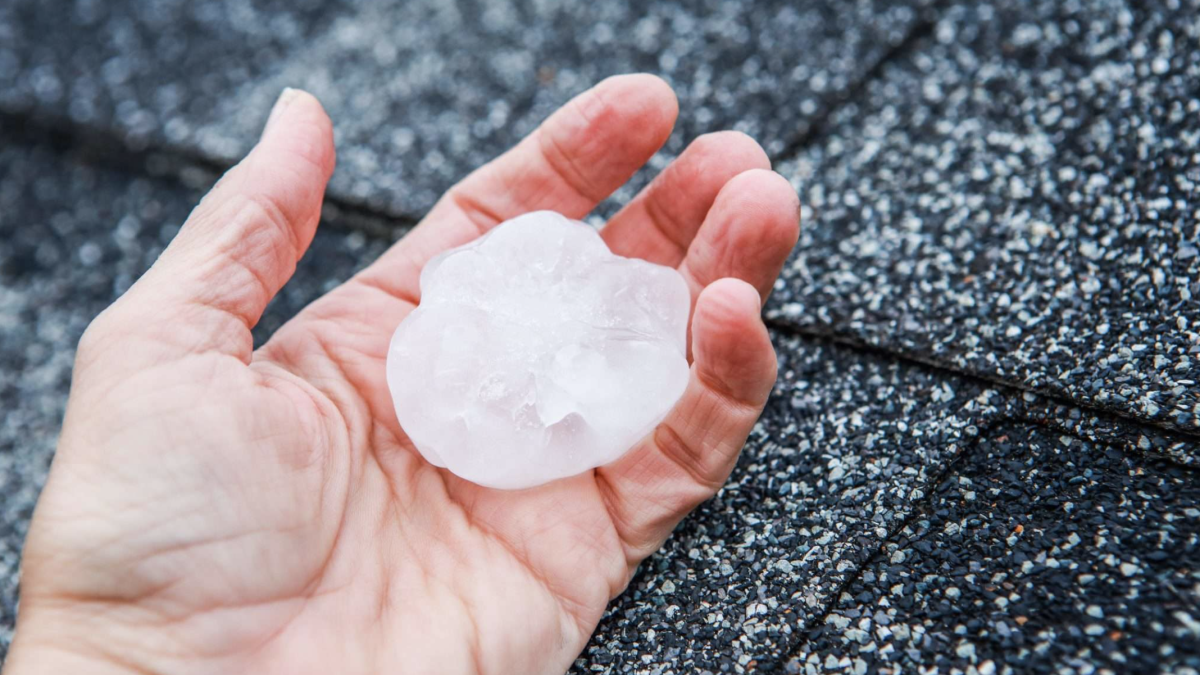 A golf ball-sized piece of hail in the palm of a person's hand with roofing in the background