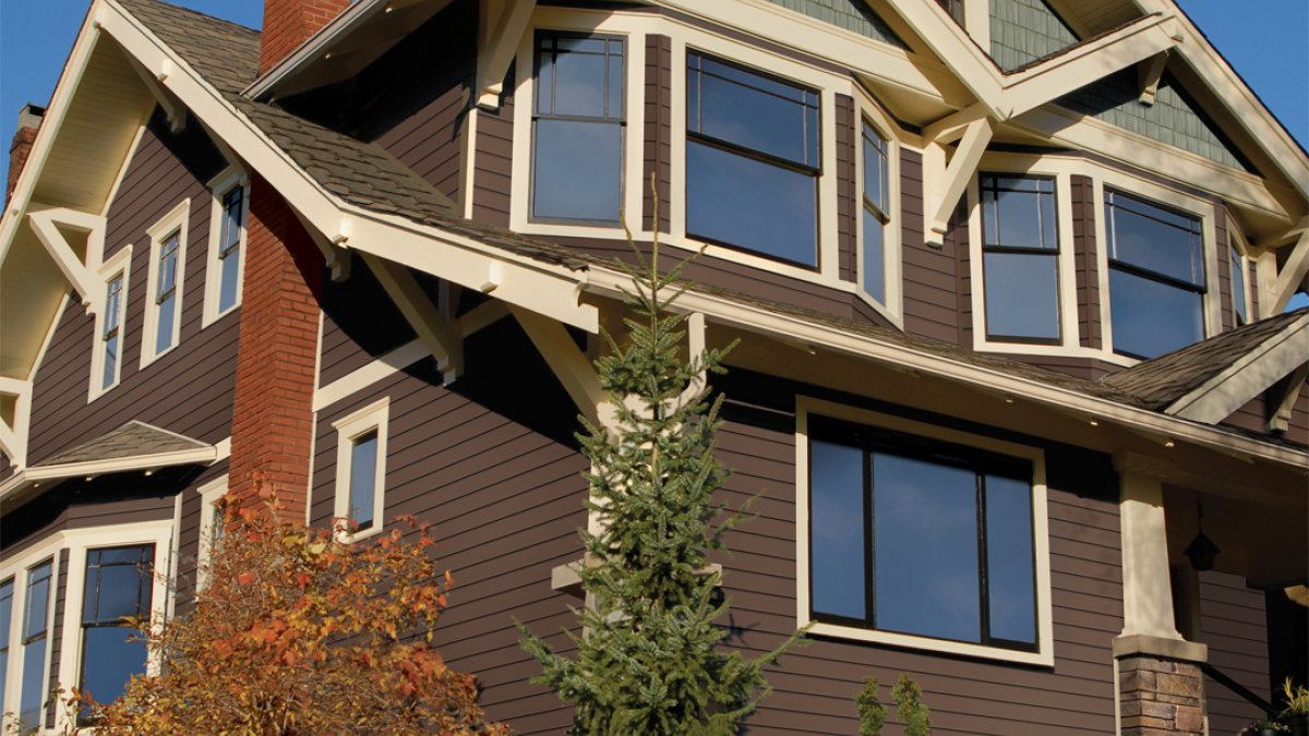 Dual toned home with many windows