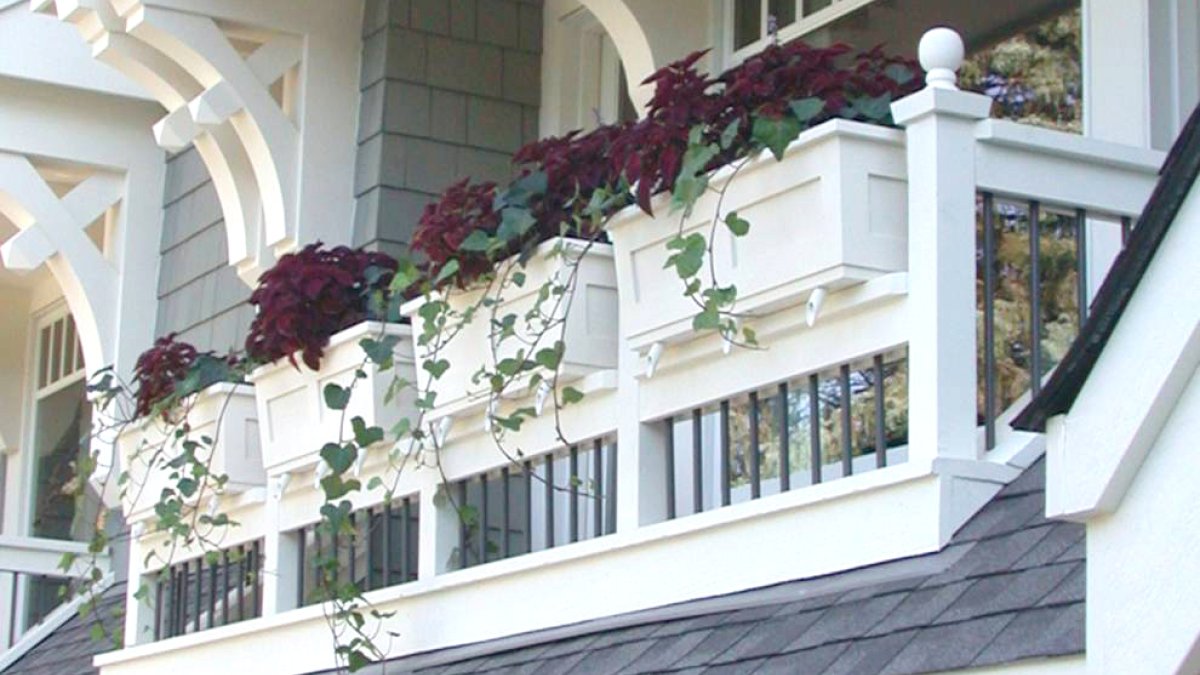 flower boxes
