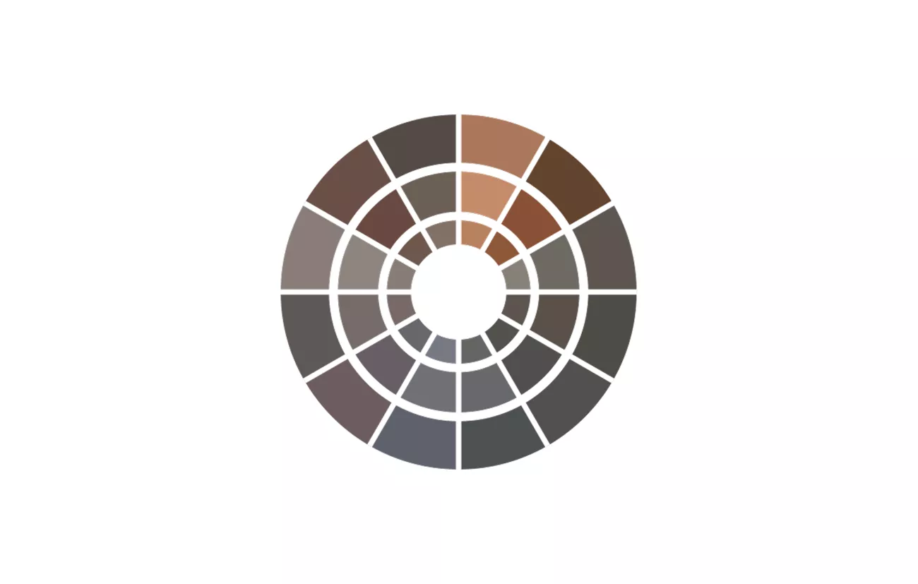 DaVinci Color wheel
