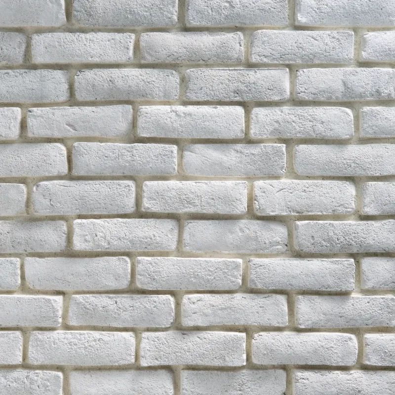 Dutch Quality Stone in Snowpack