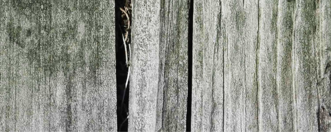 Natural shake up close